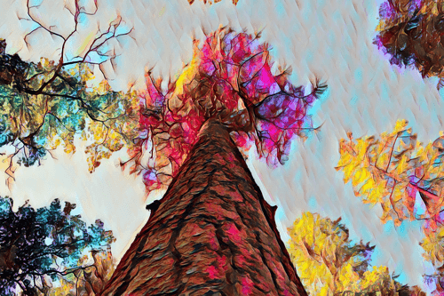 Arizona Collection