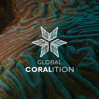 Global Coralition Dominican Republic