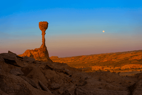 Earth Stands with Crypto