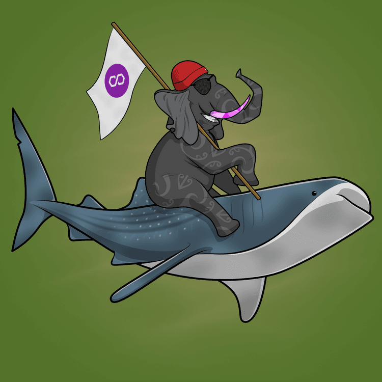 Ocean Racer #18717