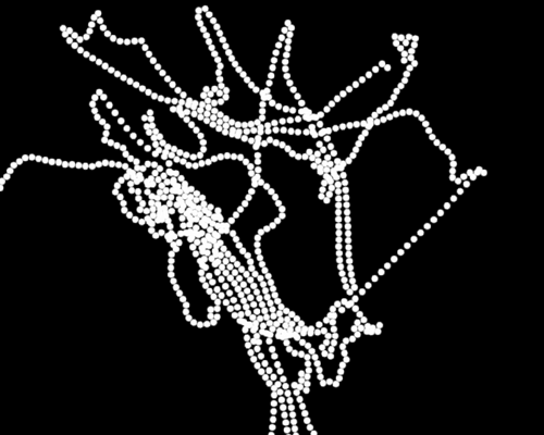 Chain 23