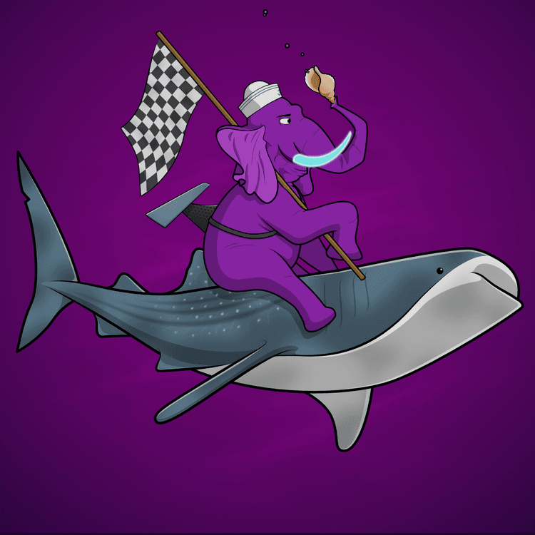 Ocean Racer #16397