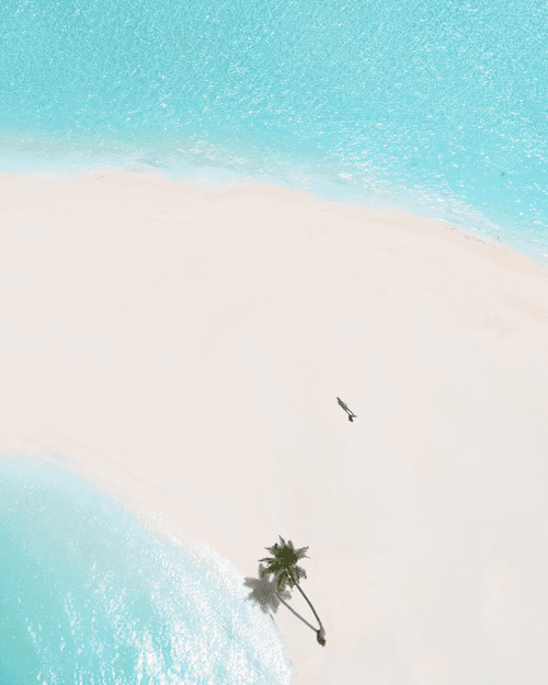 Soaring