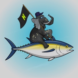 Ocean Racer #8967