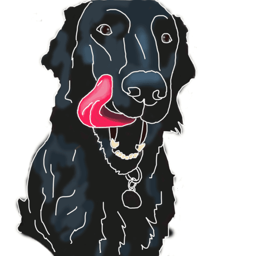 Z-Dog