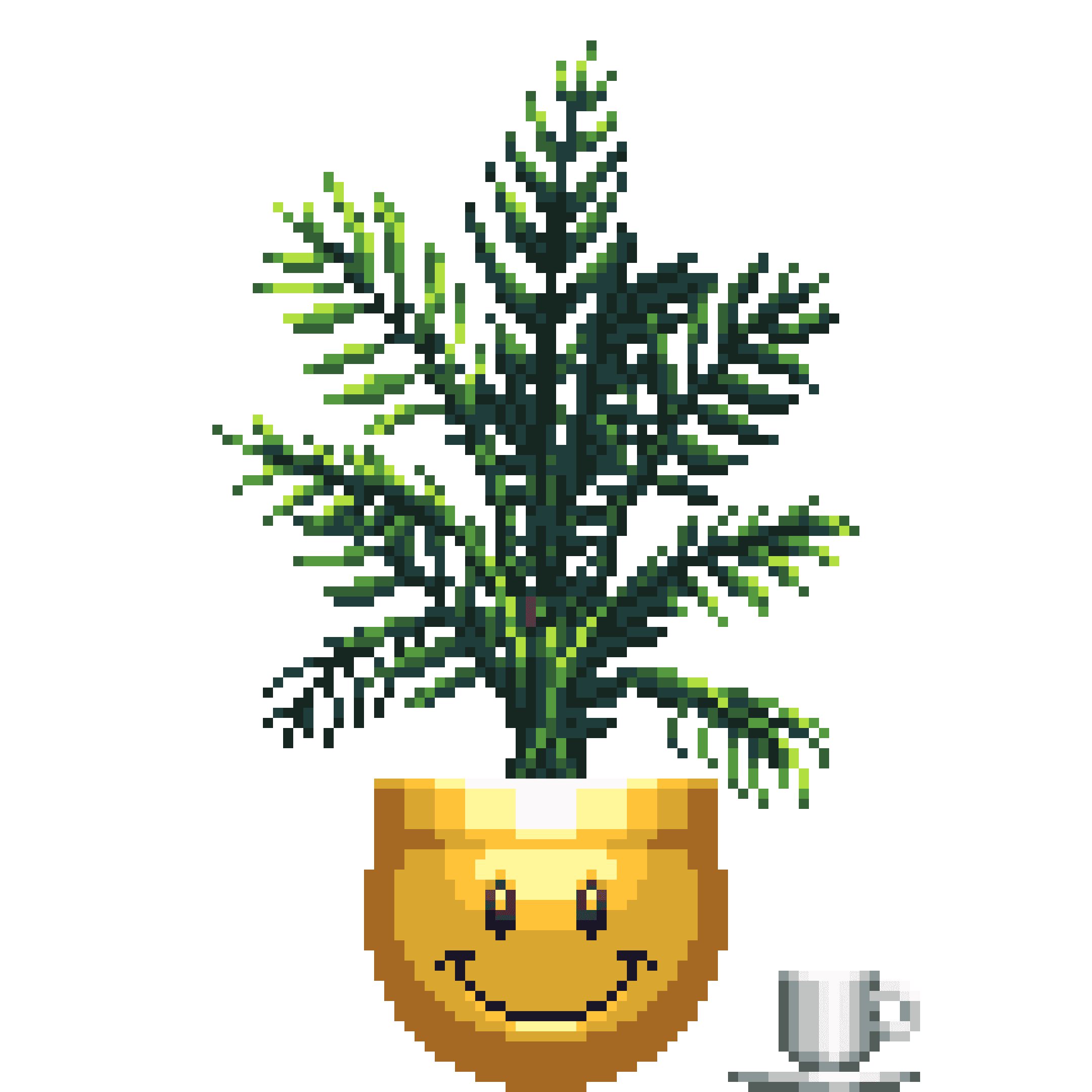 Areca Palm in Smiley pot with Demitasse