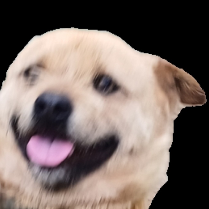 SIGORR PUP