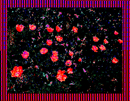 Coordinates 7