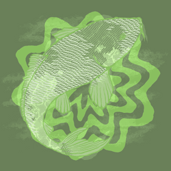 Generative patterns "NISHIKIGOI" #6258