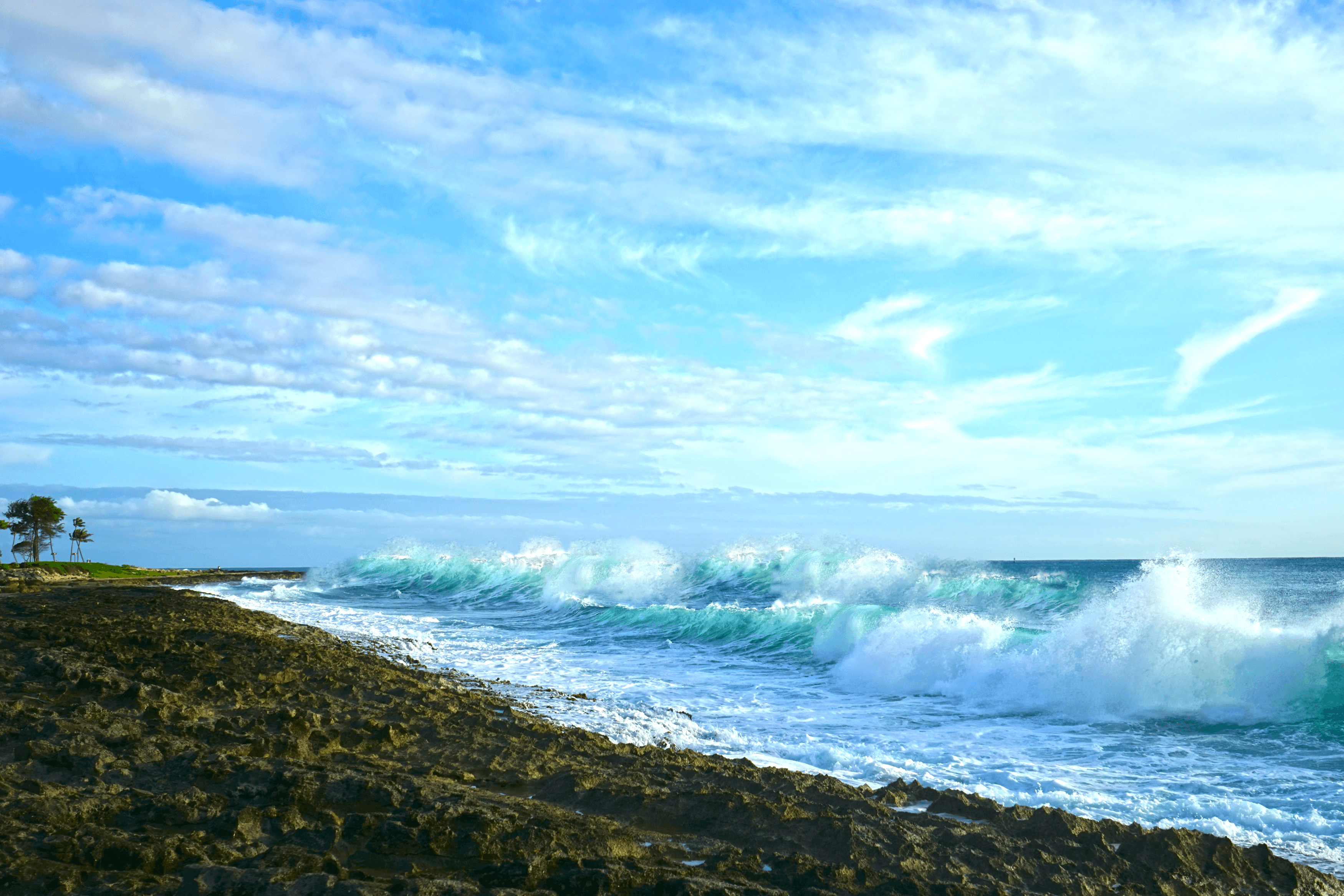 Blue Day Hawaii