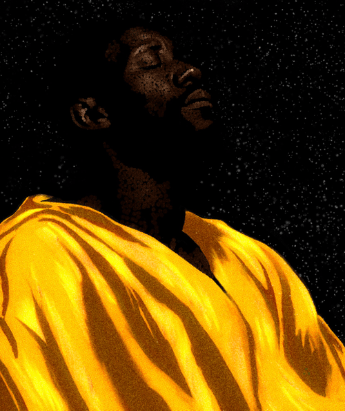 Lost in the Cosmos