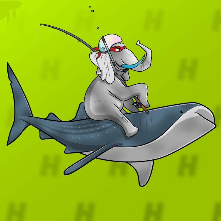 Ocean Racer #14523