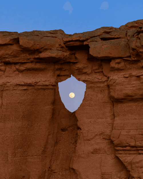 Nature Stands with Crypto