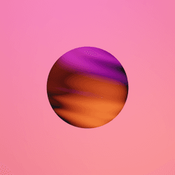 Summer night