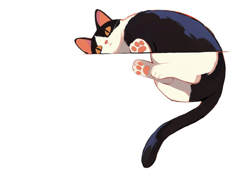 Lazy Cat