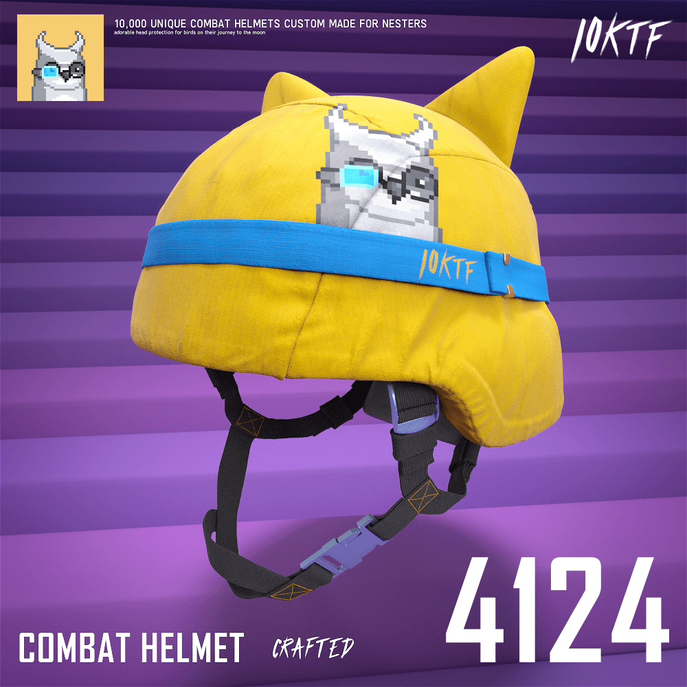 Moonbird Combat Helmet #4124