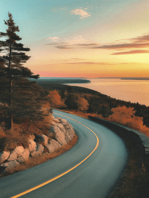 Detours - A Homesick Collection