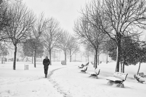 Alone in the snow #2 ❄️