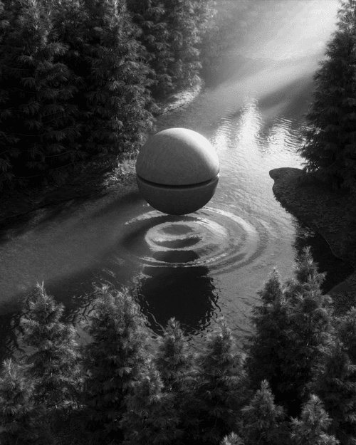 coledorais.lens-Collect-1