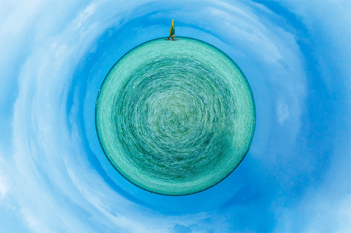 Exploring Visuals