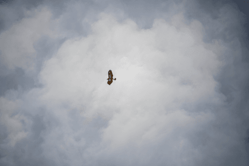 Fotozeichnung