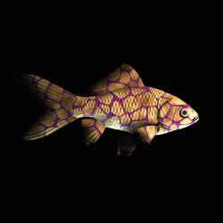 CryptoFish #3415