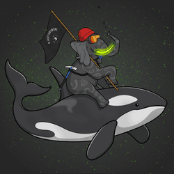 Ocean Racer #17663