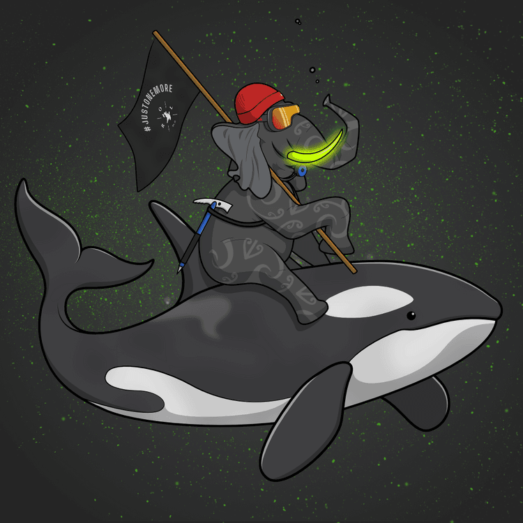 Ocean Racer #17663