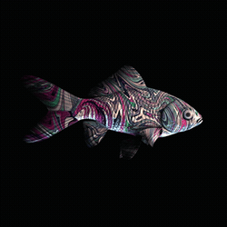 CryptoFish #5441