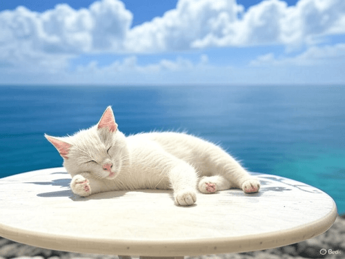 Lazy Days of Summer