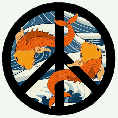 Koi in Motion