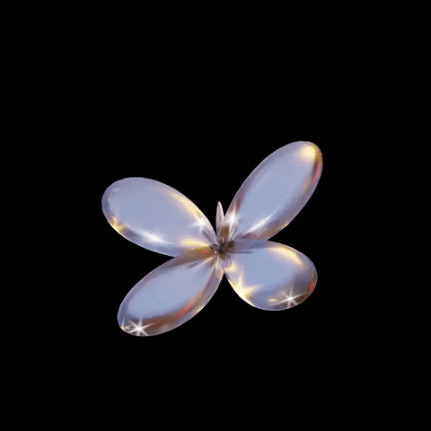 cryptocarr1.lens-Collect-1104