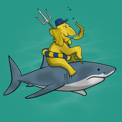 Ocean Racer #6935