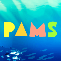 PaMs on Base collection image