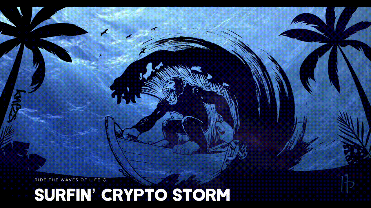 SURFIN’ CRYPTO STORM ☾