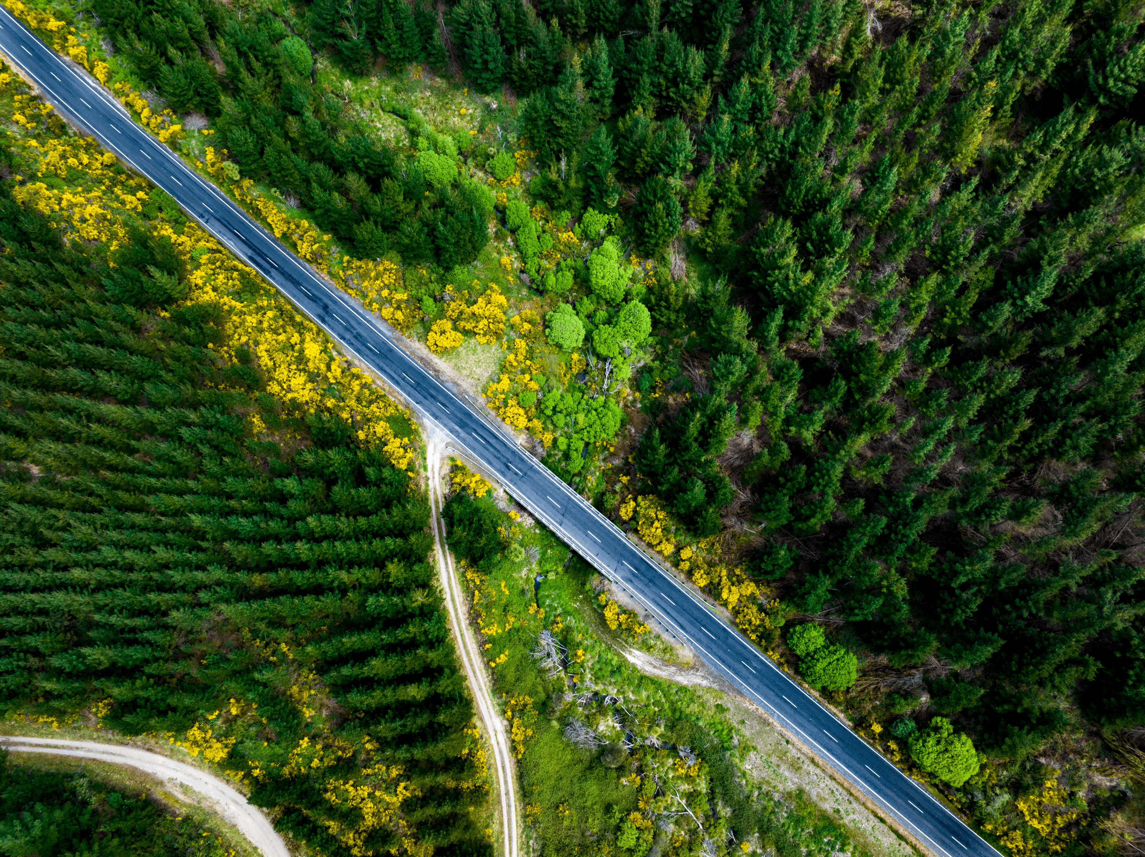 Roads and Rivers #31 #1/2