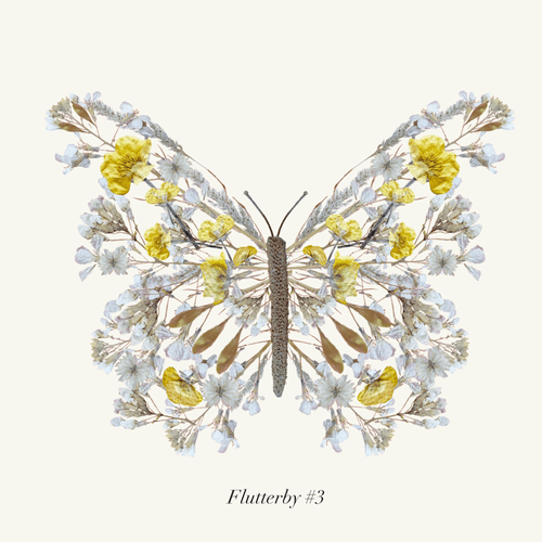 Flutterbies