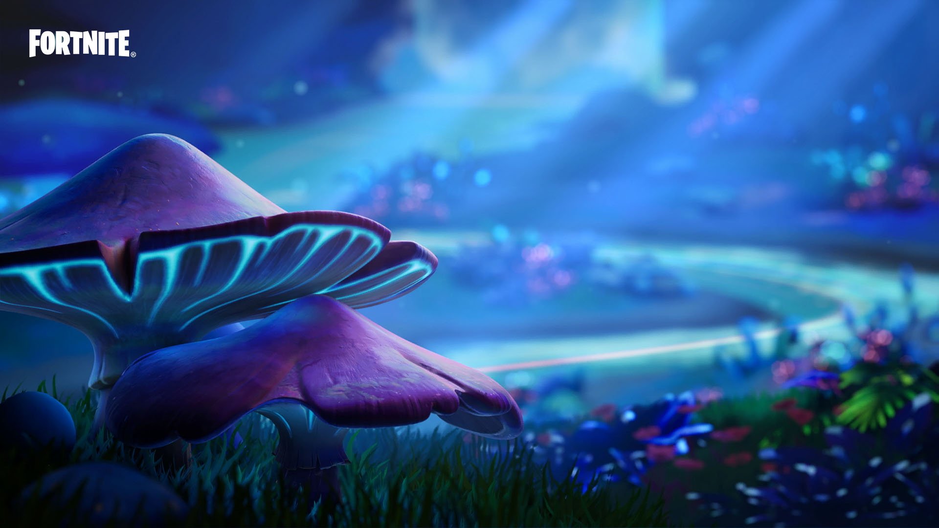 jussmurr banner