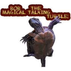 The Legendary Tales of Uncle Matt and Bob The Magical Talking Turtle - Musical Journeys Th collection image