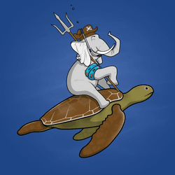 Ocean Racer #7284
