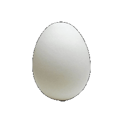 eggs collection image