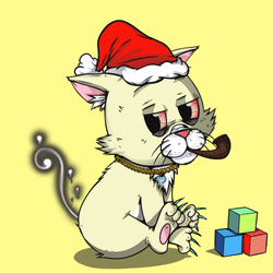 Kitten #117