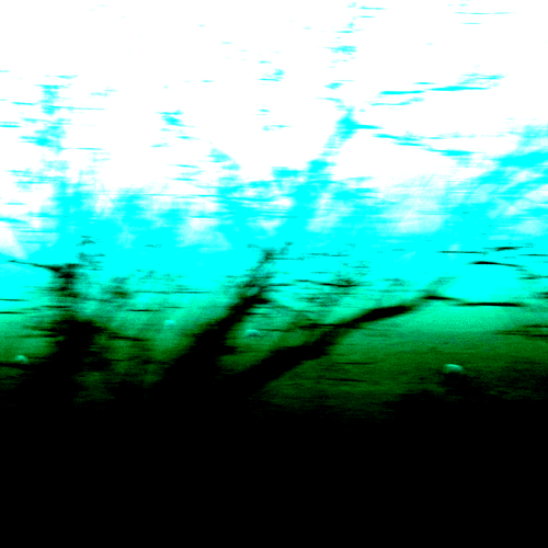 FELL-CLOUD 21