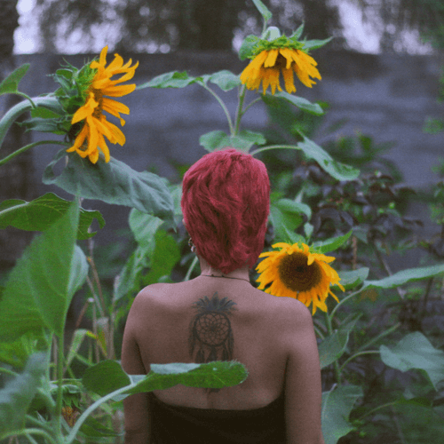 You're the sunflower