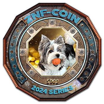 ZNF-COIN-2024