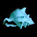 Seashells