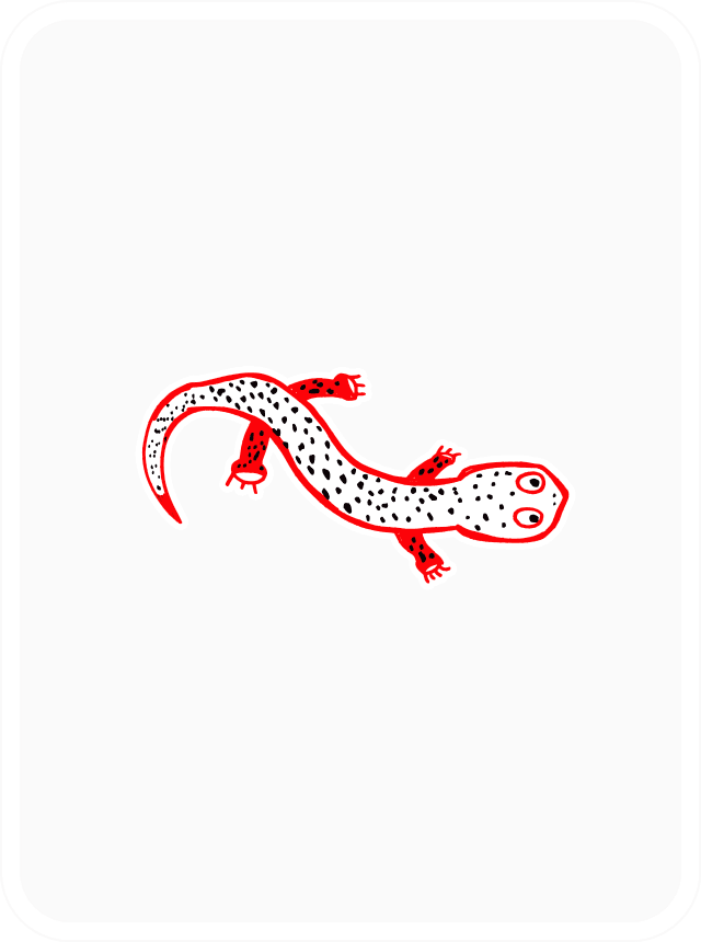 Sentimental Salamander