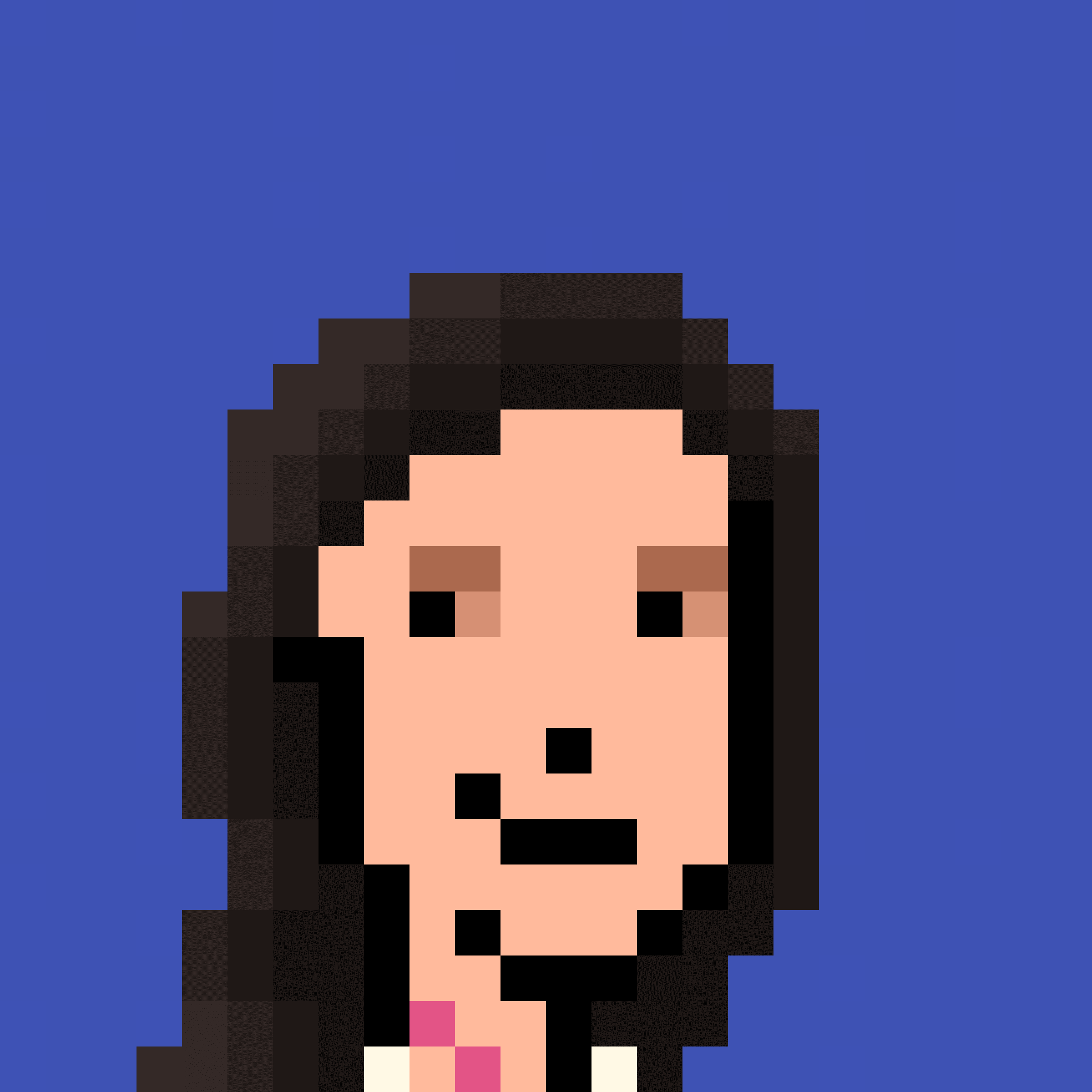 The Pixel Portraits - Collection