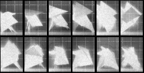CHRONOPHOTOGRAPH 7