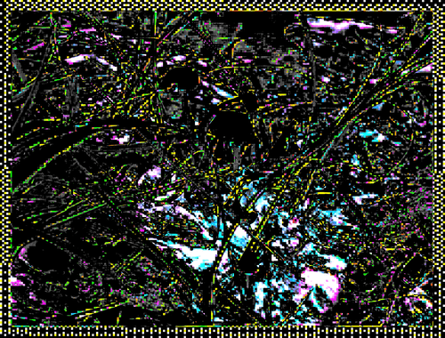 Coordinates 19